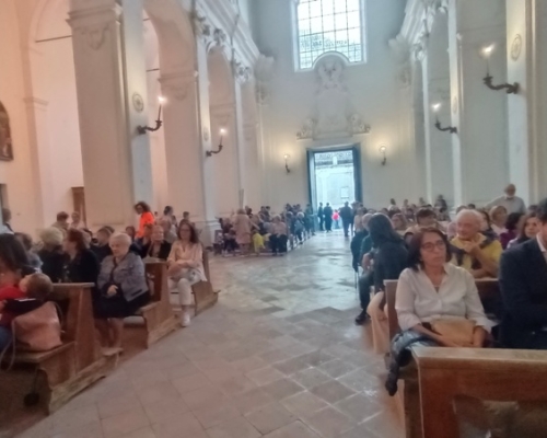 IMG 20240932