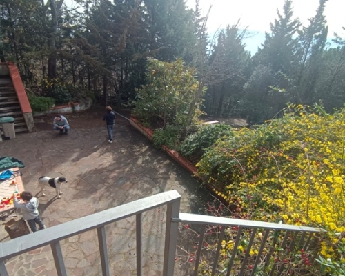 IMG 20250209 110445