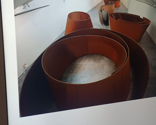 IMG 20250424 132316