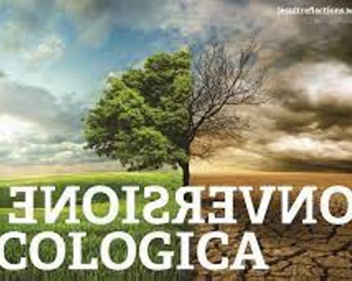 Images 008