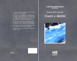 Cocci e detriti